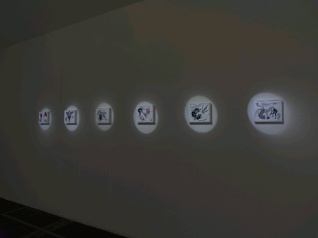 藏品:斯芬克斯的臨床路徑的(8)張圖片