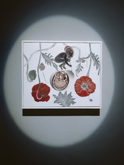 藏品:斯芬克斯的臨床路徑的(26)張圖片