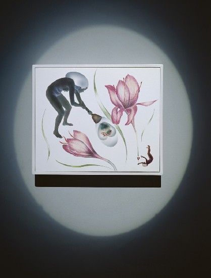 藏品:斯芬克斯的臨床路徑的(28)張圖片