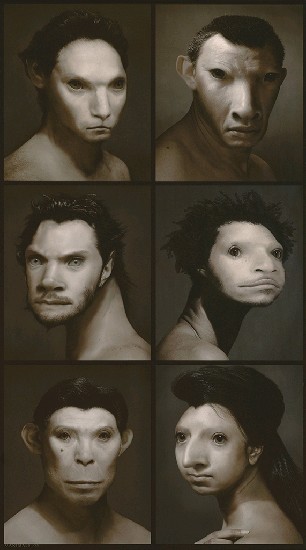 藏品:十二生肖的(2)張圖片