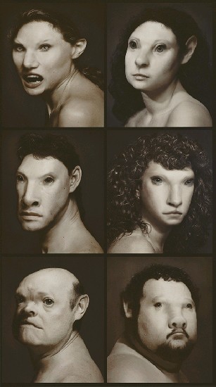 藏品:十二生肖的(3)張圖片