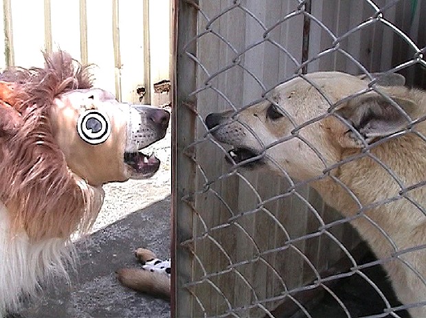 藏品:衣錦還鄉  五的(1)張圖片