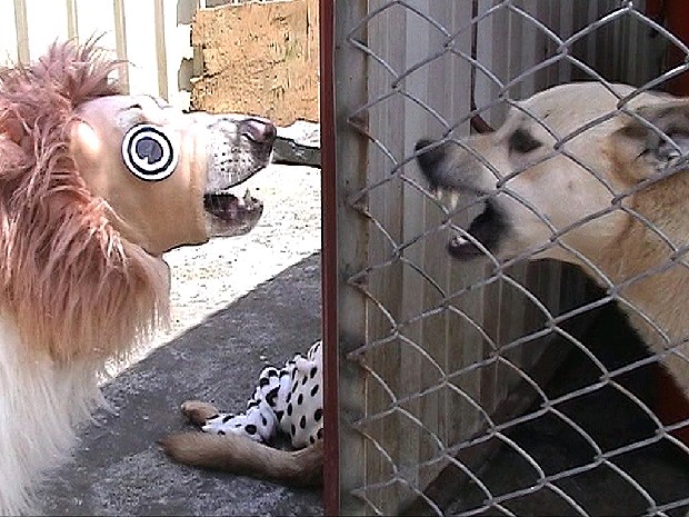 藏品:衣錦還鄉  五的(2)張圖片