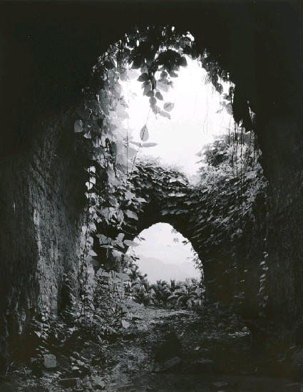 藏品:建築、築物、人-洞天的(1)張圖片