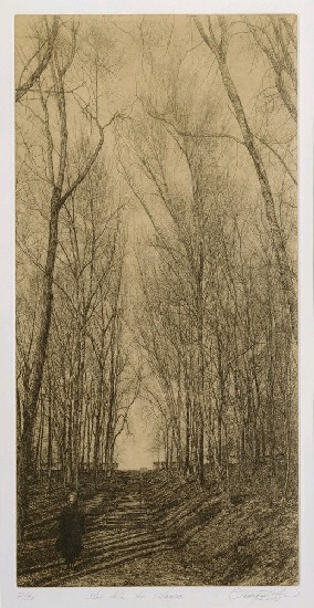 藏品:沉靜的(1)張圖片