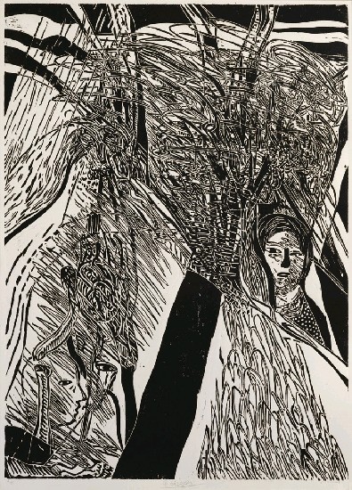 藏品:樹藤的(1)張圖片