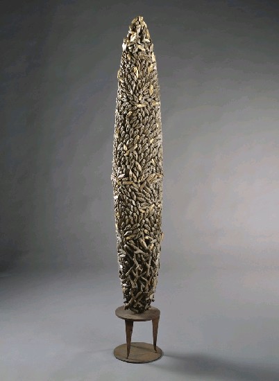 藏品:地涌之生的(1)張圖片