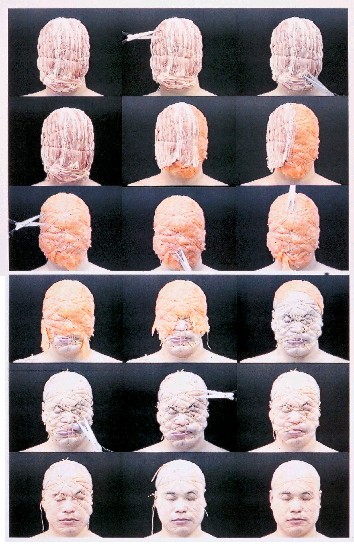 藏品:減法的(1)張圖片