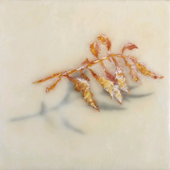 藏品:葉 2001-8的(1)張圖片