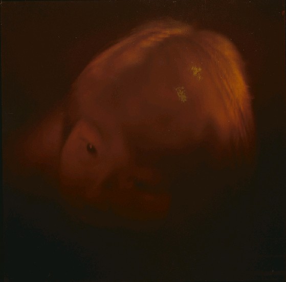 藏品:玻璃天花板的(3)張圖片