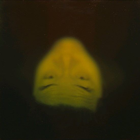 藏品:玻璃天花板的(4)張圖片