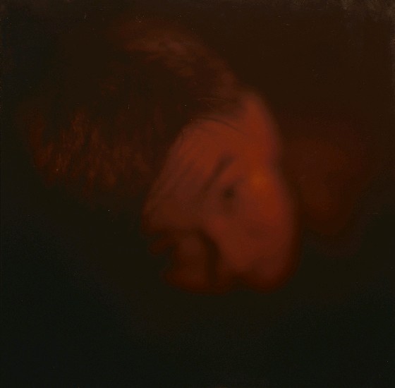 藏品:玻璃天花板的(12)張圖片