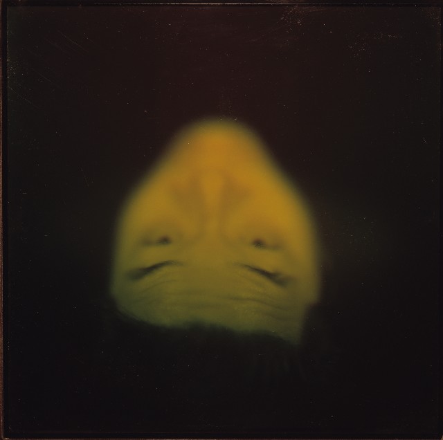 藏品:Glass Celling的(13)張圖片