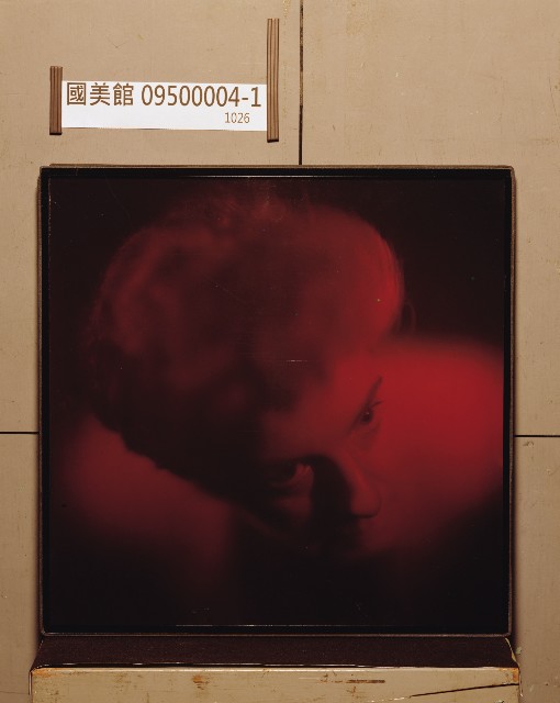 藏品:玻璃天花板的(14)張圖片