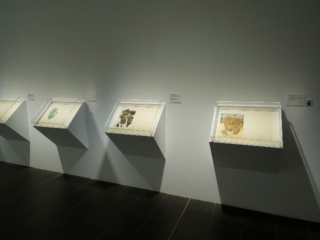 藏品:傳移摹寫的(17)張圖片