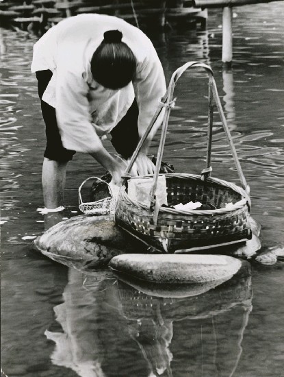 藏品:洗衣的(1)張圖片