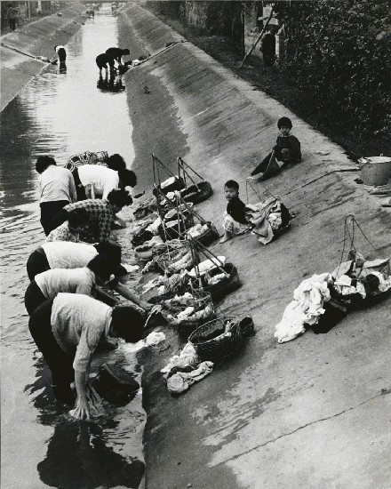 藏品:浣女的(1)張圖片