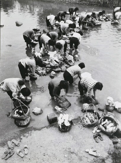 藏品:浣女的(1)張圖片