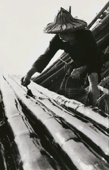 藏品:刷排竹的(1)張圖片