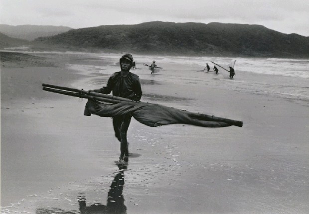 藏品:撈魚苗的(1)張圖片