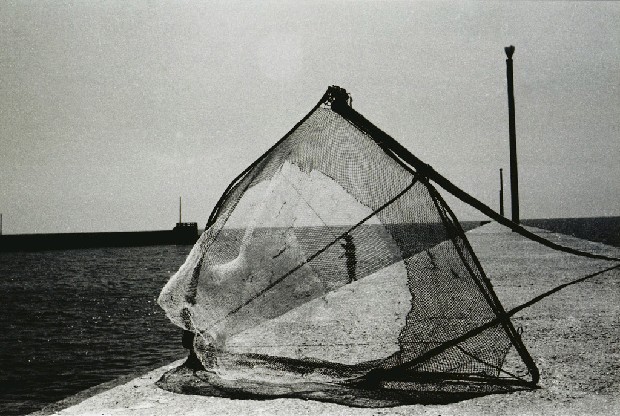 藏品:漁人的(1)張圖片