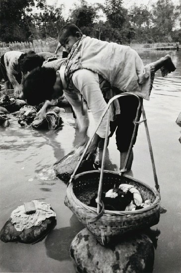 藏品:浣婦的(1)張圖片