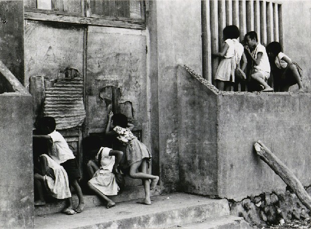 藏品:窺的(1)張圖片