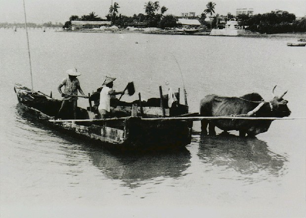 藏品:運沙的(1)張圖片