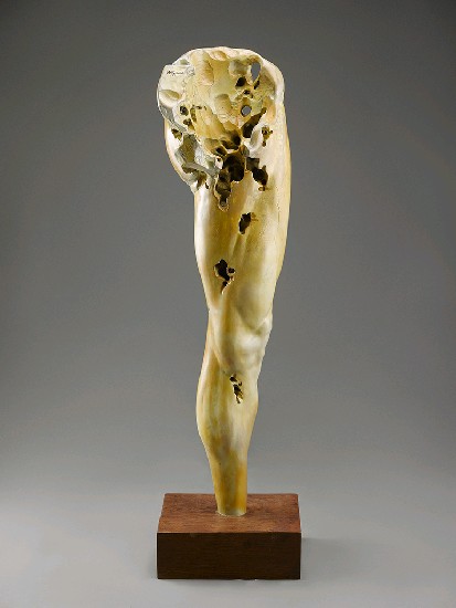 藏品:左腿無名的(1)張圖片