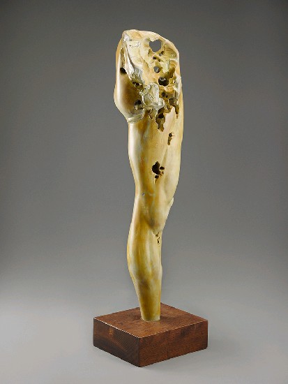 藏品:左腿無名的(3)張圖片