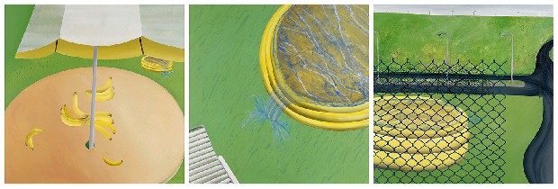 藏品:充氣泳池系列-1.塑膠躺椅2.台灣好吃香蕉!3.有鐵網的風景的(1)張圖片