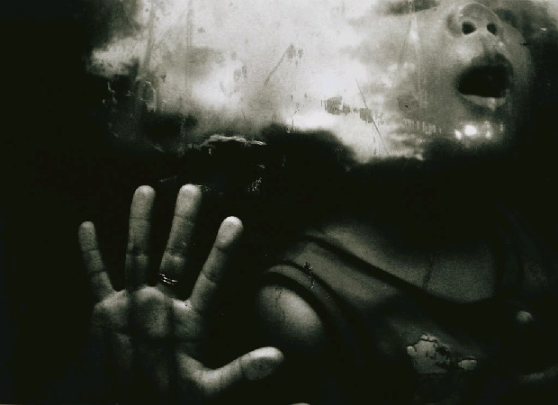 藏品:受限的天真的(2)張圖片