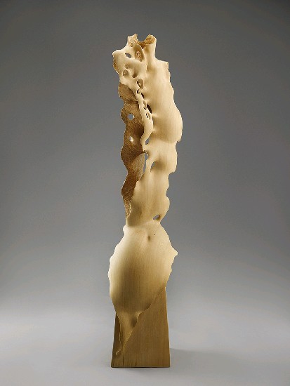 藏品:螙 NO13   的(1)張圖片