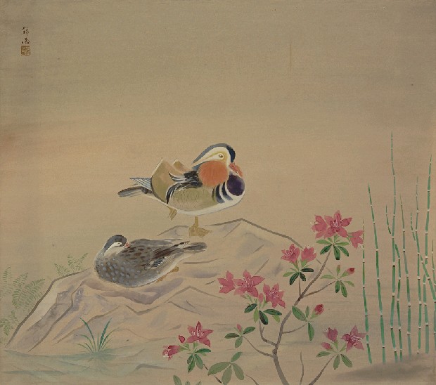 藏品:春日的(1)張圖片