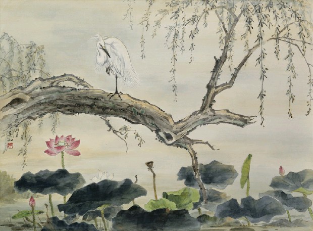 藏品:荷塘的(1)張圖片