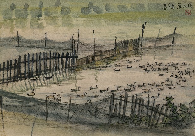 藏品:養鴨場的(1)張圖片