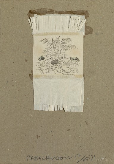 藏品:無題的(1)張圖片