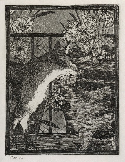 藏品:無題的(1)張圖片