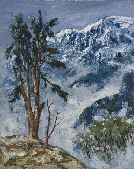 藏品:傲雪山林的(1)張圖片