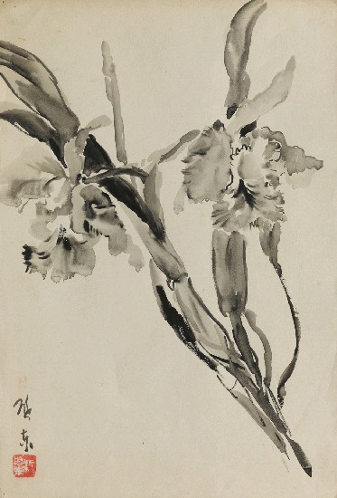 藏品:678花的(1)張圖片