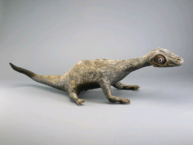 藏品:牆上的龍-9的(2)張圖片