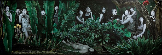 藏品:叢林的(1)張圖片