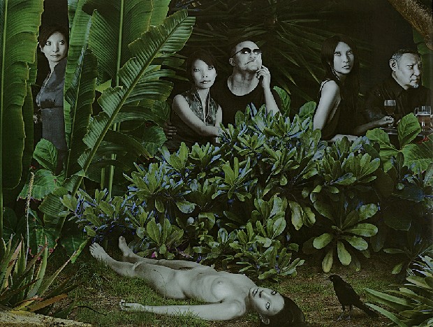 藏品:叢林的(3)張圖片