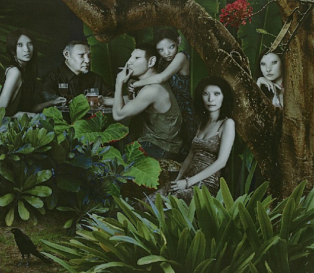 藏品:叢林的(4)張圖片