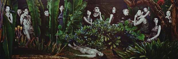 藏品:叢林的(5)張圖片