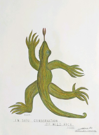 藏品:蜥蜴系列1-7的(1)張圖片