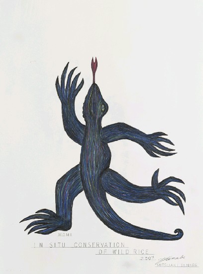 藏品:蜥蜴系列1-7的(2)張圖片