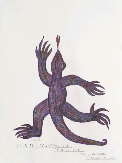 藏品:蜥蜴系列1-7的(3)張圖片