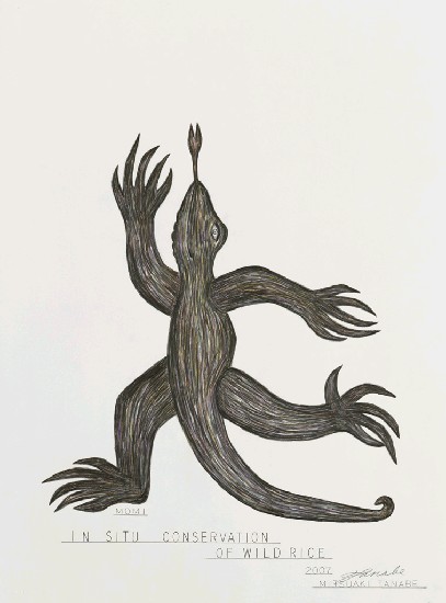 藏品:蜥蜴系列1-7的(4)張圖片