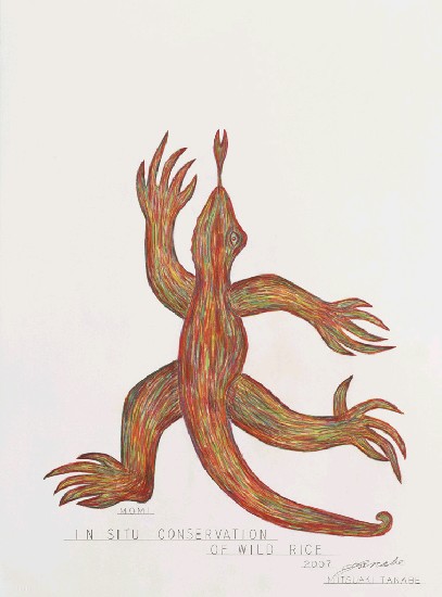 藏品:蜥蜴系列1-7的(5)張圖片